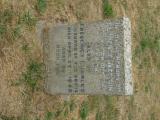 image of grave number 738050